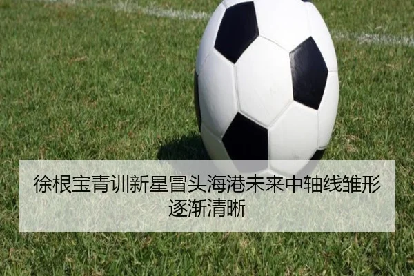 徐根宝青训新星冒头海港未来中轴线雏形逐渐清晰 - leyuapp